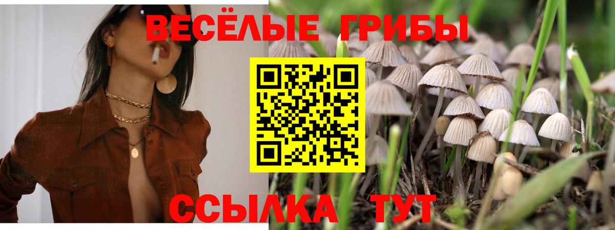 Псилоцибиновые грибы Cubensis Пенза